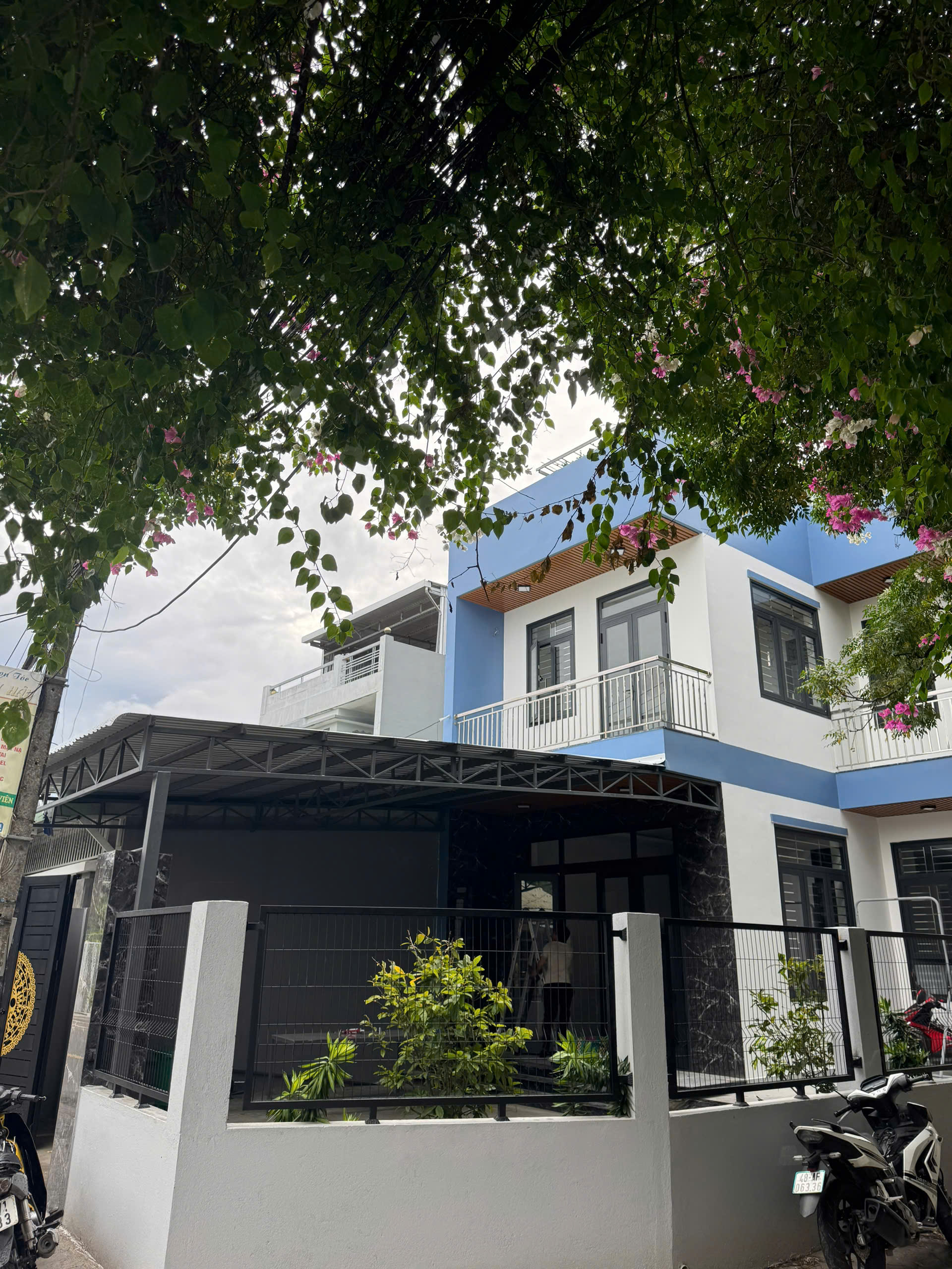 Cửa cổng sắt - ảnh 2