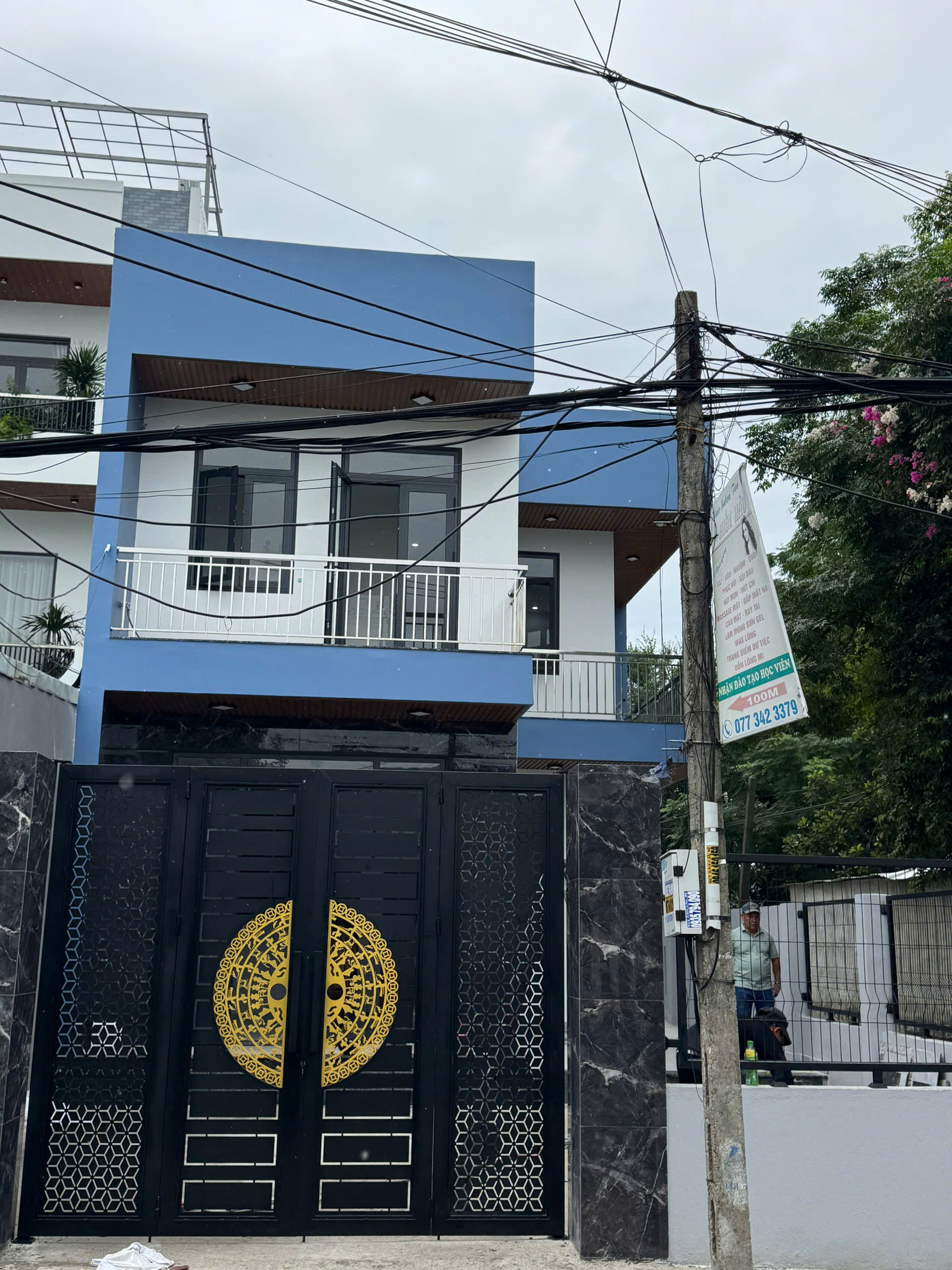 Cửa cổng sắt - ảnh 8